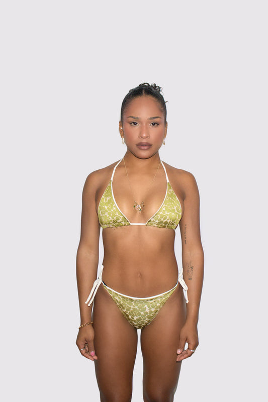 Gladiolus Bikini (XS)
